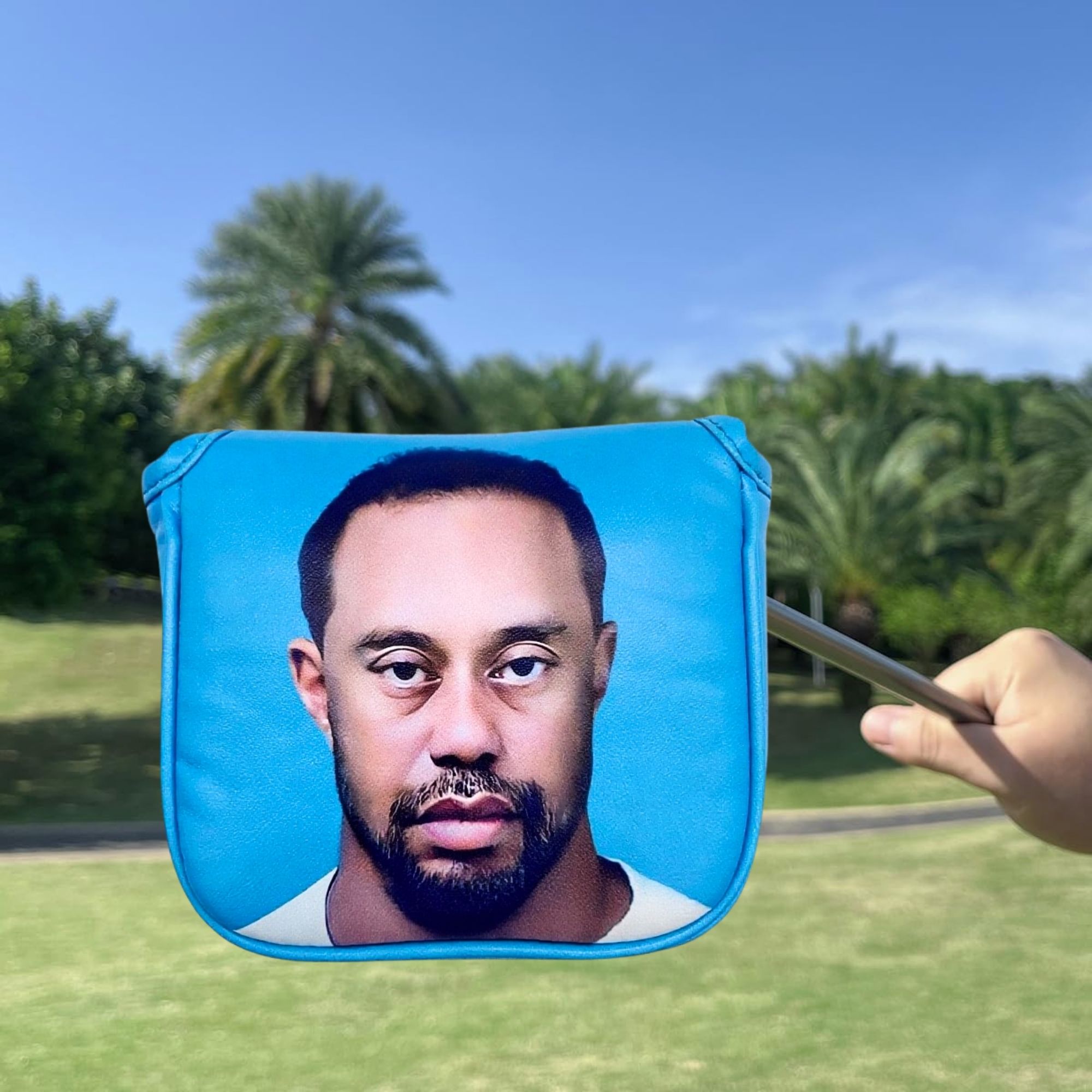 Funny Golf Mallet Putter Head  - Golf Putter review and price